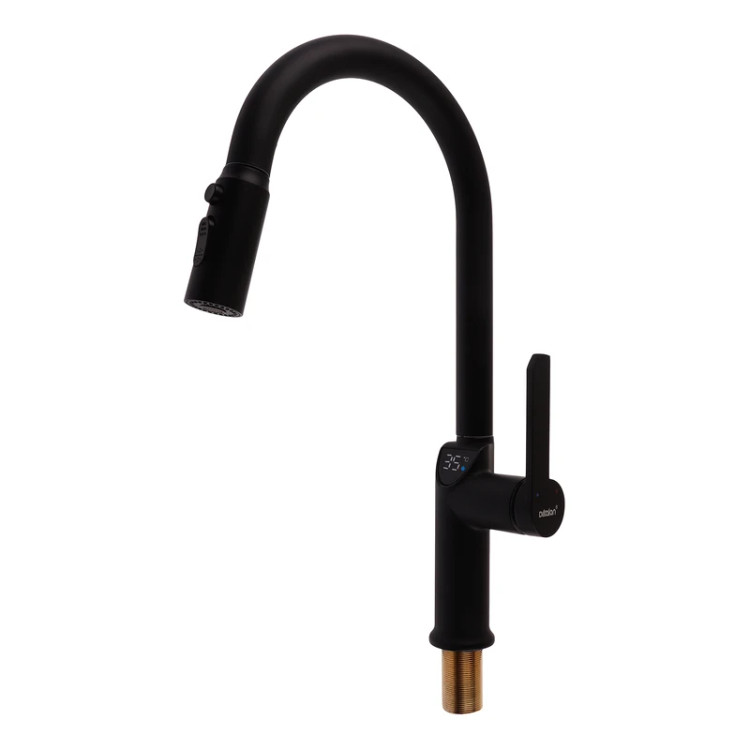 شیر ظرفشویی شاوری دیکالان، ارتقاء آشپزخانه به سطح تکنولوژی روز.